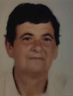 Maria de lourdes Henriques Franco Ferreira-compressed
