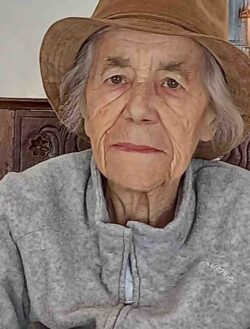 Isabel Maria Ferreira Ribeiro-compressed
