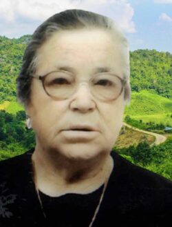 Maria_Adelaide_Teresa_dos_Santos-removebg-preview-compressed