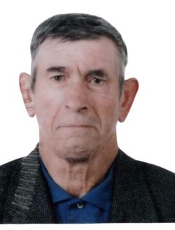 diamantino-removebg-preview_Easy-Resize.com